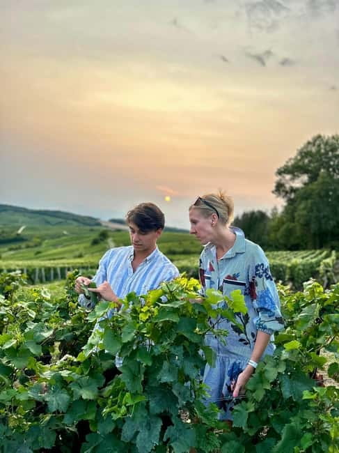 Authentic Champagne Tour: 3 vineyards, 10 Tastings & Lunch - Why this Champagne day feels different