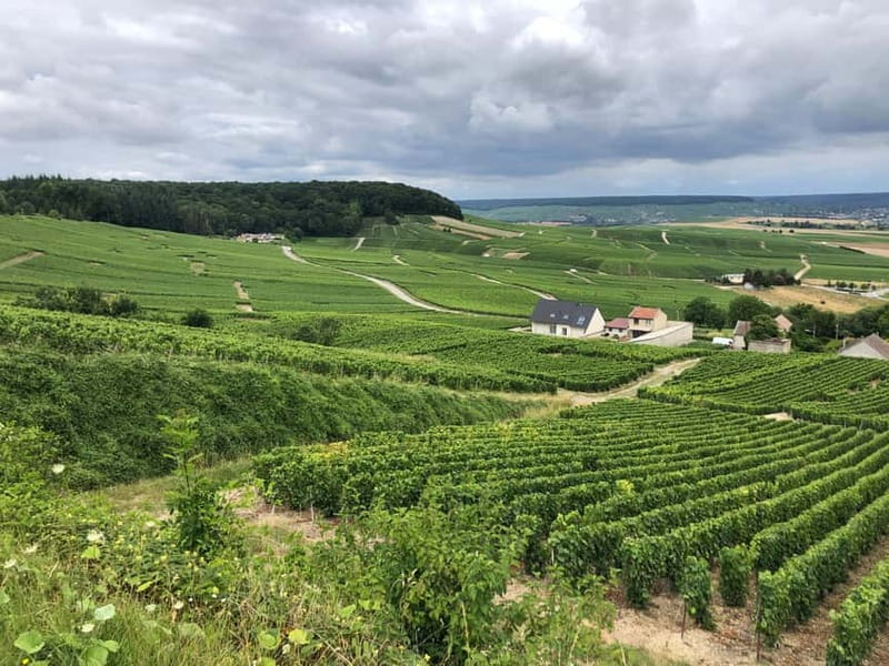 Authentic Champagne Tour: 3 vineyards, 10 Tastings & Lunch - Leaving Paris for the vineyards