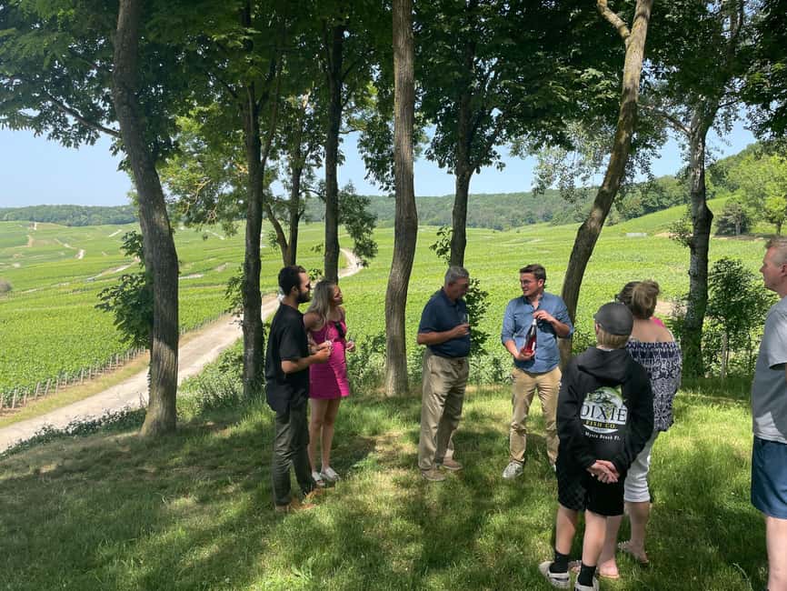 Authentic Champagne Tour: 3 vineyards, 10 Tastings & Lunch - French lunch with Champagne at the center