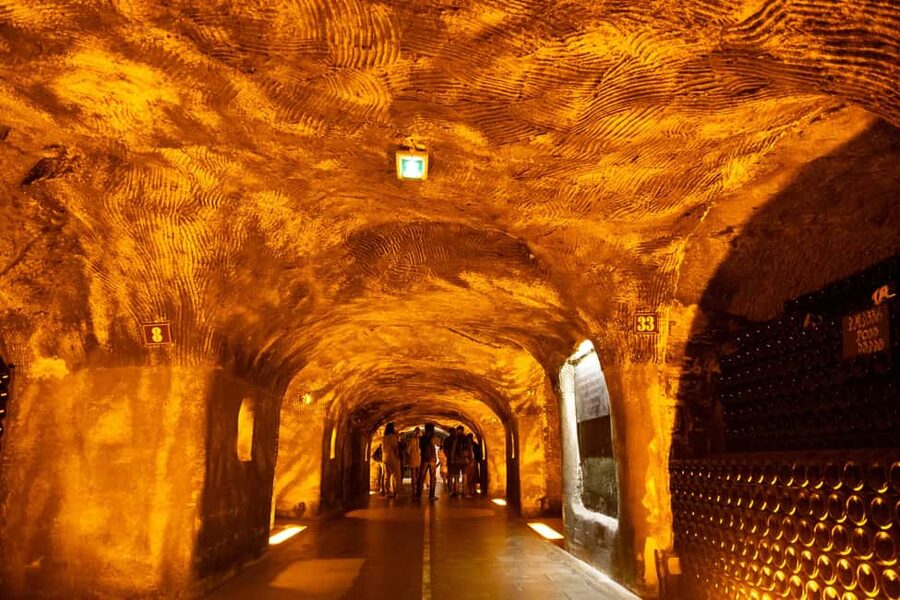 Authentic Champagne Tour: 3 vineyards, 10 Tastings & Lunch - Practical tips for a smoother day
