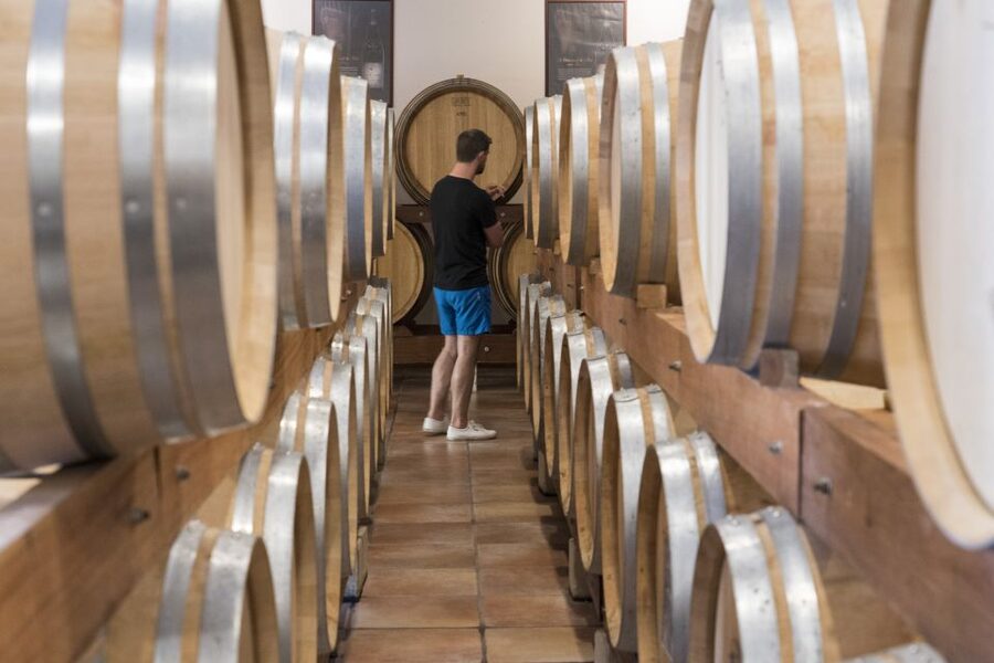 Avignon: Full-Day Châteauneuf du Pape Wines & Luberon Tour - Pont Julien is a compact Roman stop