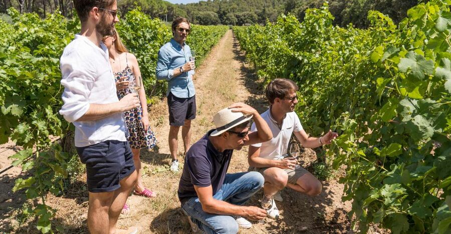 Avignon: Full-Day Châteauneuf du Pape Wines & Luberon Tour - Roussillon brings the brightest colors of the day