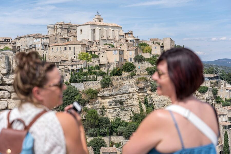 Avignon: Full-Day Châteauneuf du Pape Wines & Luberon Tour - What the minibus format means for your day