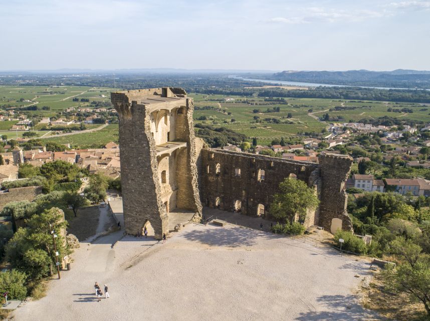 Avignon: Full-Day Châteauneuf du Pape Wines & Luberon Tour - Guides can make or break this long day