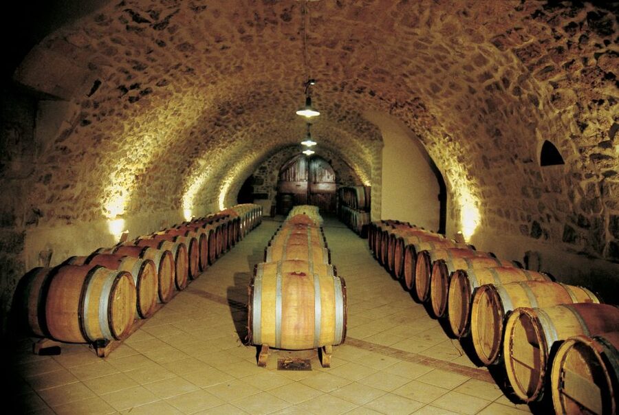 Avignon: Full-Day Wine Tour around Châteauneuf-du-Pape - Who will get the most from this experience?