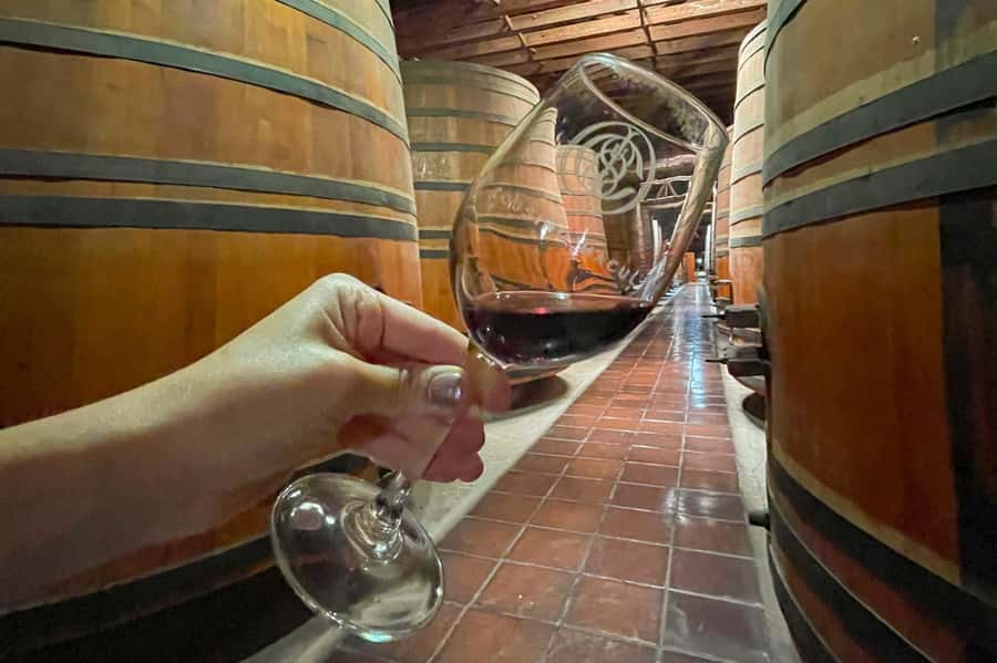 Bahá'i Temple and Cousiño Macul Vineyard - Who will enjoy this outing most?