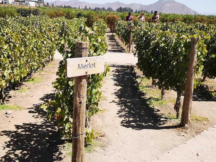 Bahá’í Temple, Winery and Lapis Lazuli + Private Transport - Should you book this tour?