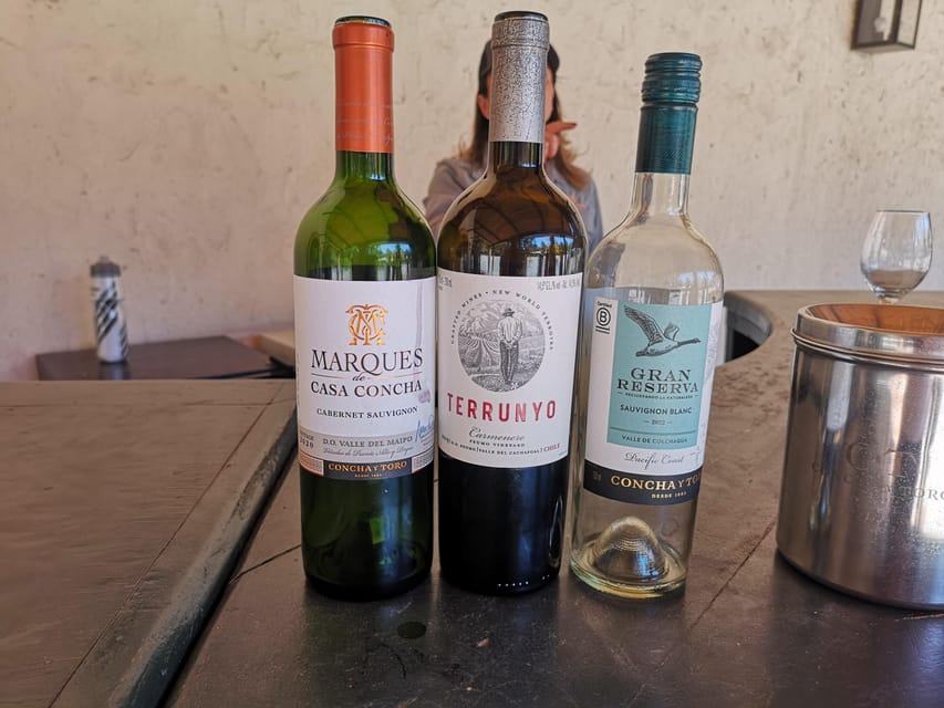 Bahá’í Temple, Winery and Lapis Lazuli + Private Transport - Lapis lazuli, Chilean crafts, and a pisco sour