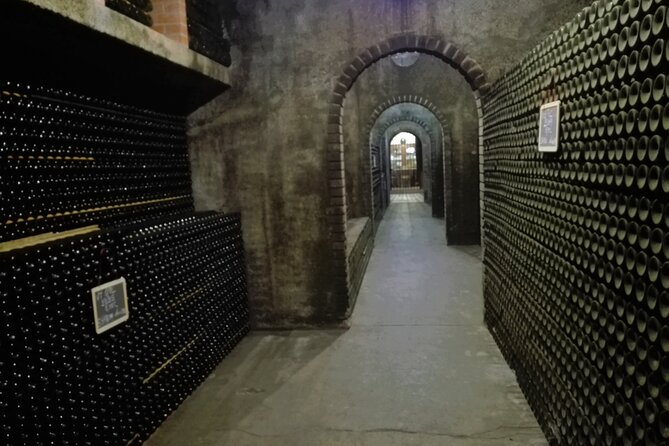 Bairrada Winery Route, full-day from Coimbra - A typical Portuguese lunch with wine