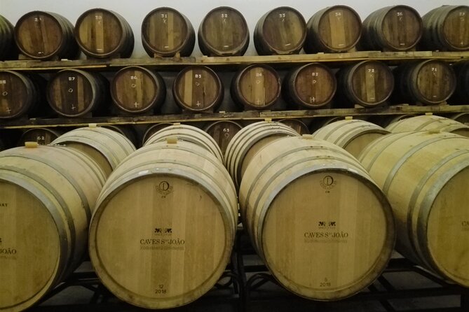 Bairrada Winery Route, full-day from Coimbra - First winery visit: what to expect from Caves Messias