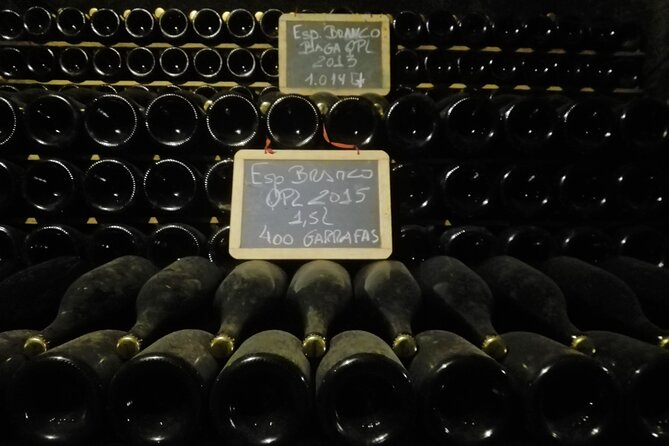 Bairrada Winery Route, half day from Coimbra - Private touring with a maximum of eight people