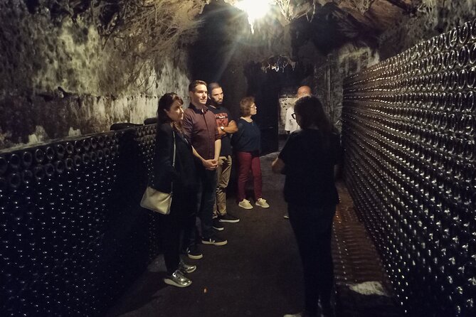 Bairrada Winery Route, half day from Coimbra - Pickup, departure times, and the Coimbra meeting point