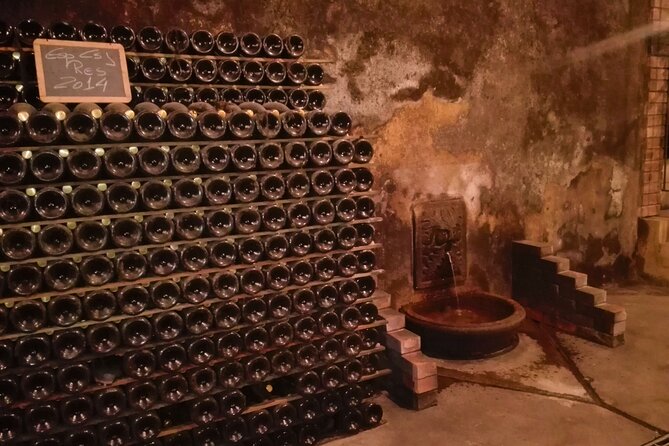 Bairrada Winery Route, half day from Coimbra - Who should book this experience?