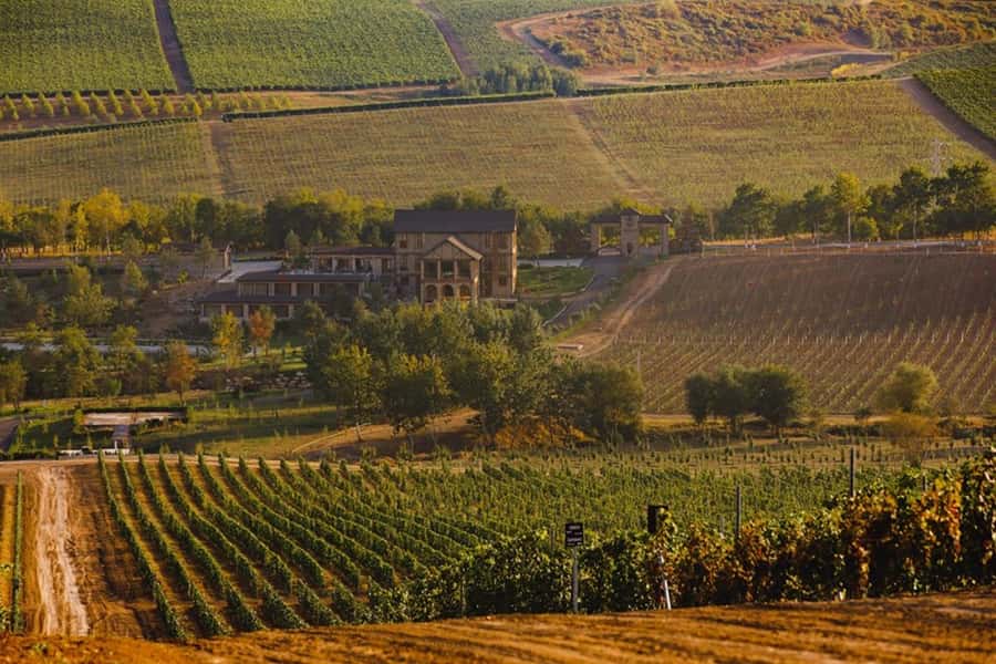 Baku: Organic Winery Tour in Shamakhi with Local Lunch - Leaving Baku for Shamakhi’s vineyards