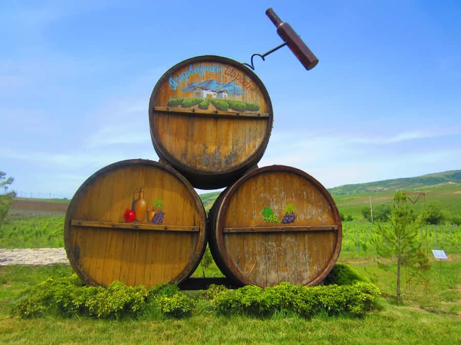 Baku: Organic Winery Tour in Shamakhi with Local Lunch - Inside the 4,398-square-meter winery