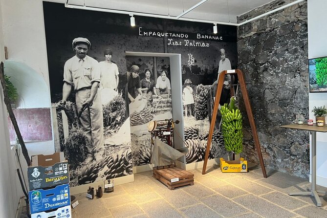 Banana Museum, Rum Distillery & Winery with Tasting: Premium tour - Learning to make mojo sauce