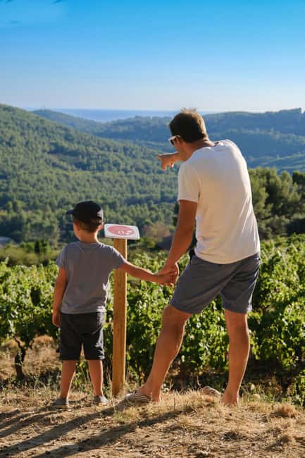 Bandol: Family Vineyard Tour and Tasting - Key points worth knowing