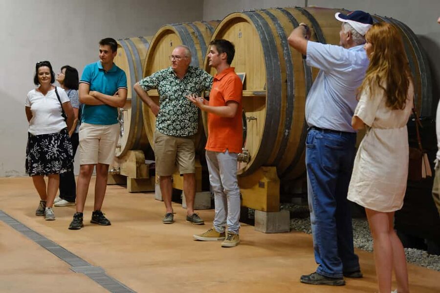 Bandol: Family Vineyard Tour and Tasting - Why Château Canadel is worth your time near Bandol