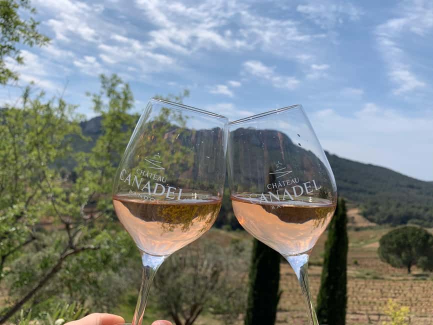 Bandol: Family Vineyard Tour and Tasting - Mourvèdre and the character of Bandol wine