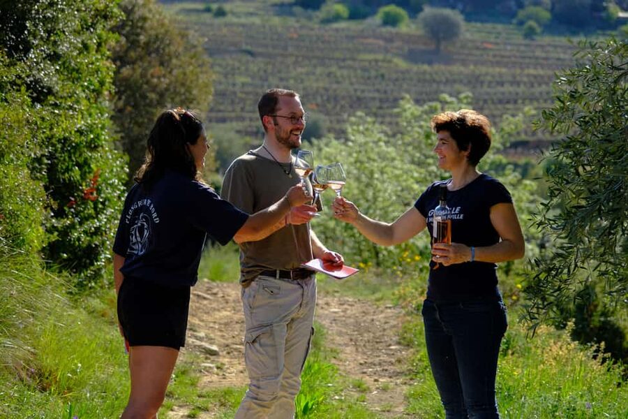 Bandol: Family Vineyard Tour and Tasting - What the $23 price gets you
