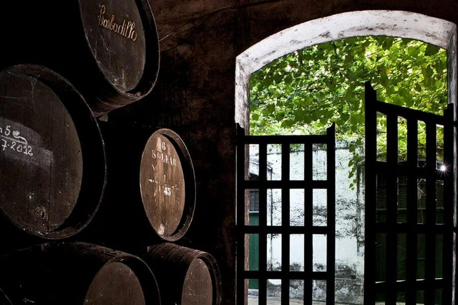 Barbadillo Winery Guided Tour in Cadiz with Wine Tasting - Why Sanlúcar is the right place to learn about Manzanilla