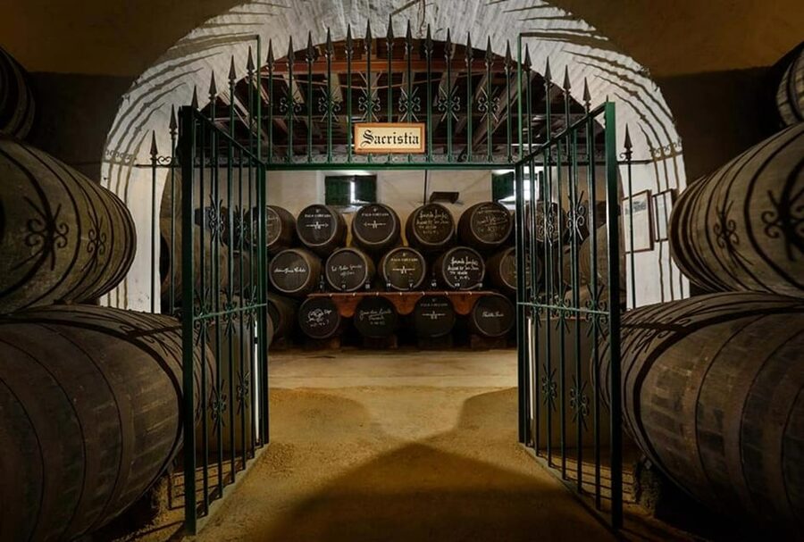 Barbadillo Winery Guided Tour in Cadiz with Wine Tasting - Inside the Manzanilla Museum