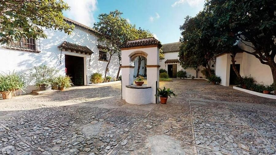 Barbadillo Winery Guided Tour in Cadiz with Wine Tasting - The three-wine tasting at the end