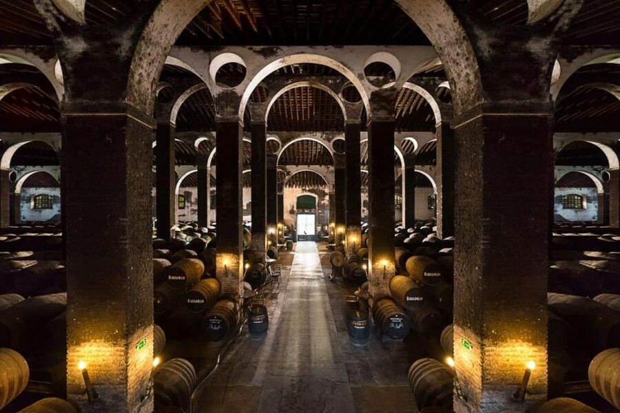Barbadillo Winery Guided Tour in Cadiz with Wine Tasting - Seeing how Manzanilla is made
