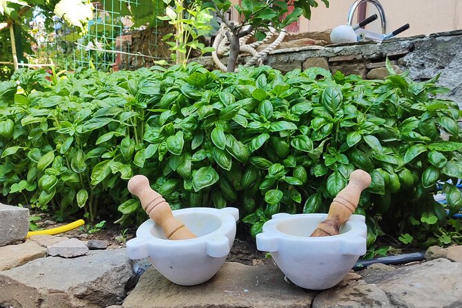 BarCa Winery Cinqueterre Trekking & Wine Tasting & Pesto Class - How personal is the family-run approach?
