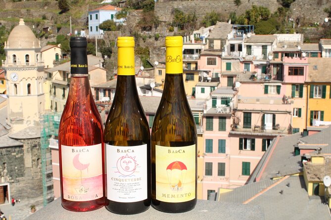 BarCa Winery Cinqueterre Trekking & Wine Tasting & Pesto Class - Walking the Manarola-Volastra vineyard path