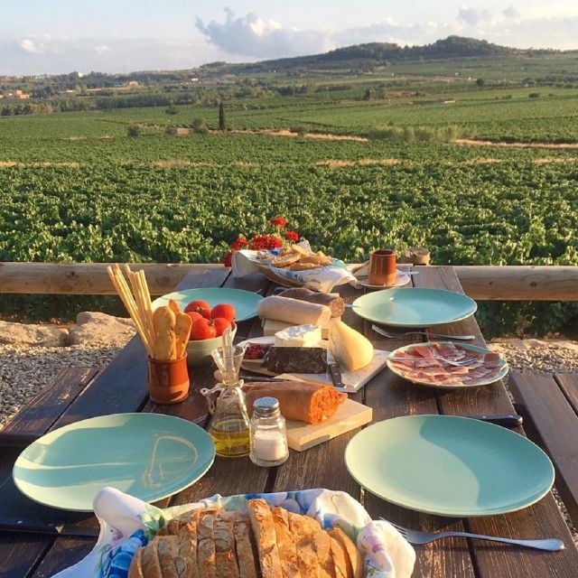 Barcelona: 3 Penedes Wineries with Hotel Pick-up and Lunch - Key points before you book