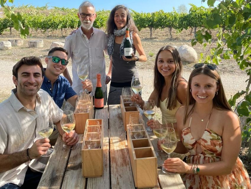 Barcelona: 3 Penedes Wineries with Hotel Pick-up and Lunch - First stop: biodynamic wine and the traditional cava method