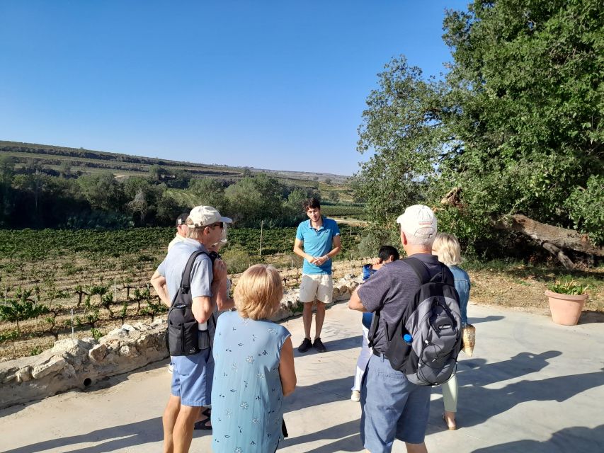 Barcelona: 3 Penedes Wineries with Hotel Pick-up and Lunch - Who will enjoy this day most?