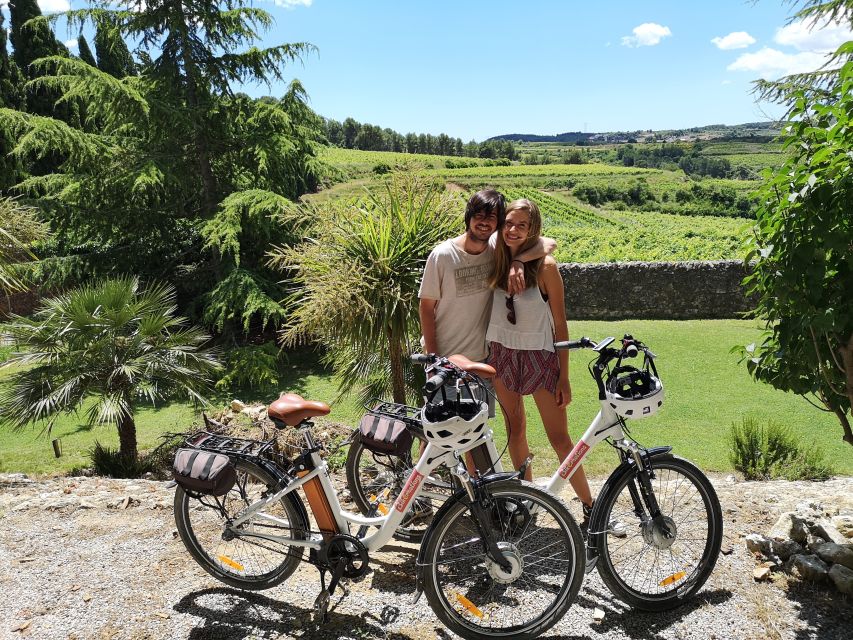 Barcelona: Bike & Wine Guided Tour - Penedès vineyards - Key points at a glance
