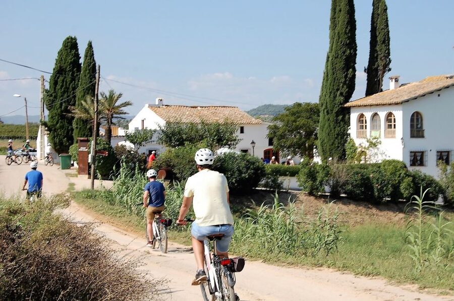 Barcelona: Bike & Wine Guided Tour - Penedès vineyards - What the $96 price really covers