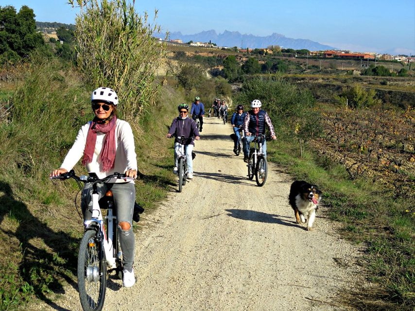 Barcelona: Bike & Wine Guided Tour - Penedès vineyards - Practical tips for a smoother morning