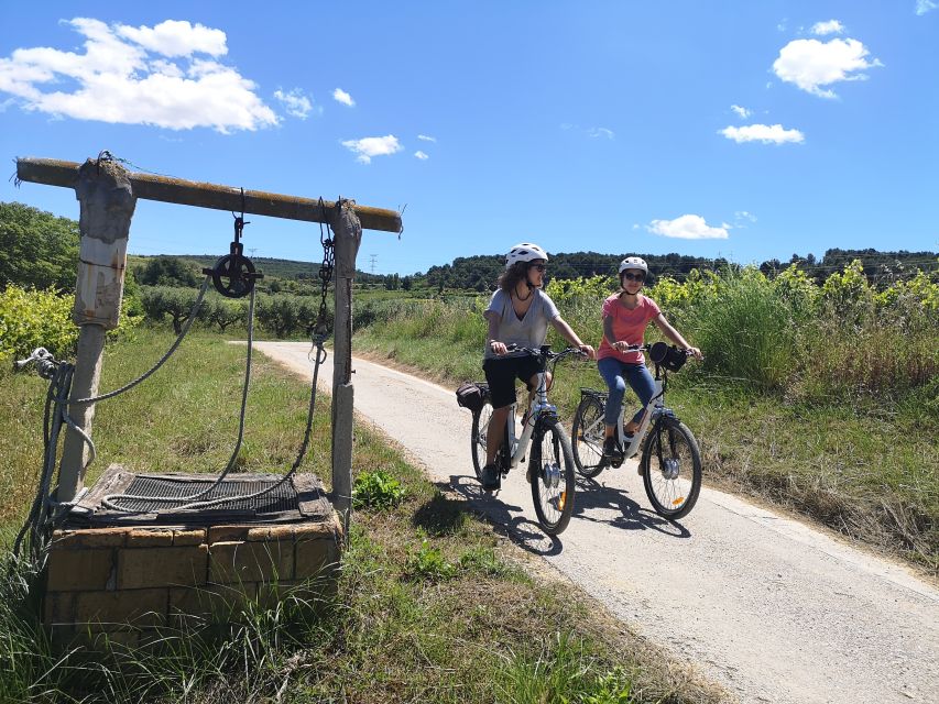 Barcelona: Bike & Wine Guided Tour - Penedès vineyards - Getting there from Barcelona by train