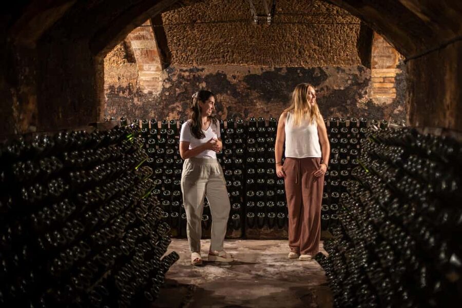 Barcelona: Cavas Hill - Winery Tour & Cheese Tasting - Why Cavas Hill Works as a Two-Hour Food and Wine Trip