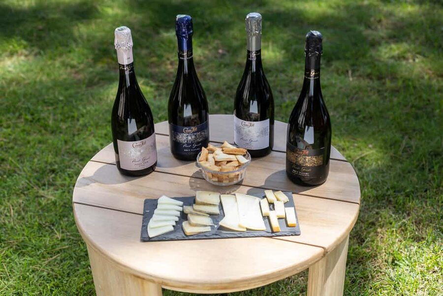 Barcelona: Cavas Hill - Winery Tour & Cheese Tasting - Entering the Early 20th-Century Cellars