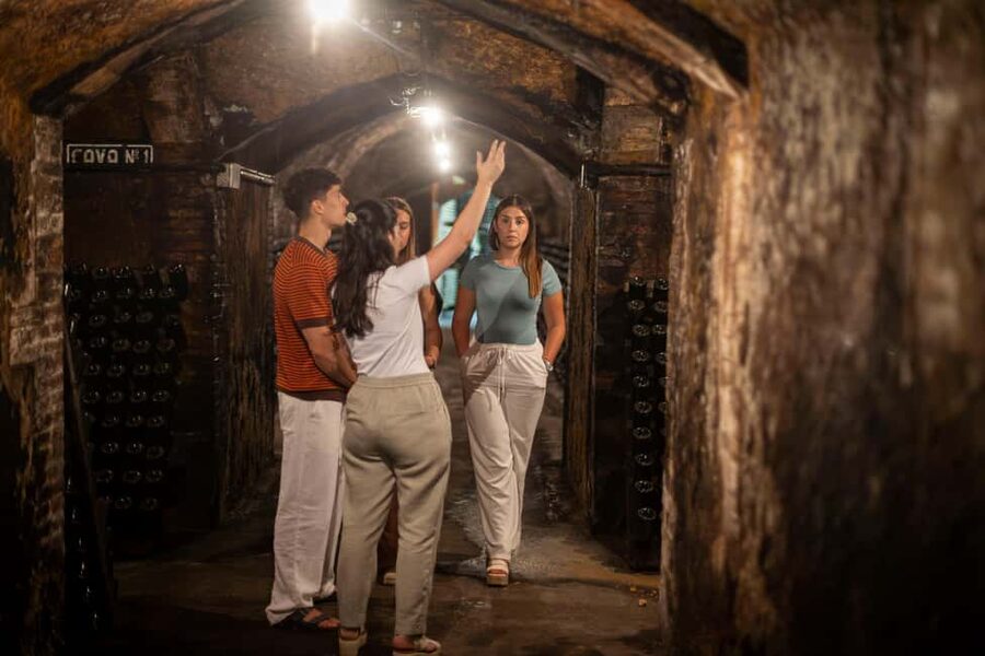 Barcelona: Cavas Hill - Winery Tour & Cheese Tasting - What the Tour Does Especially Well