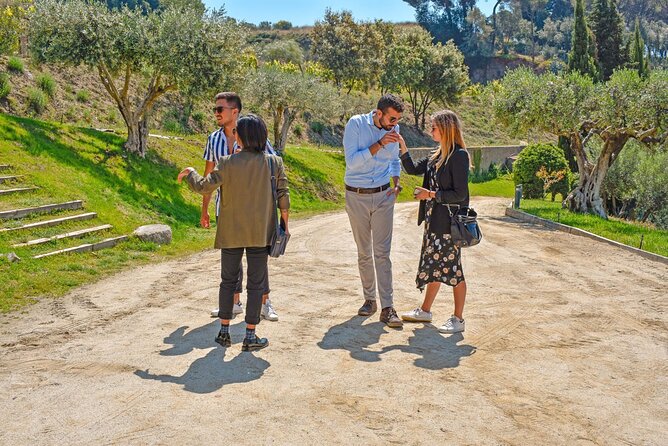 Barcelona eBike Beach Private Tour to Vineyards & Picnic - What the eBike ride really demands