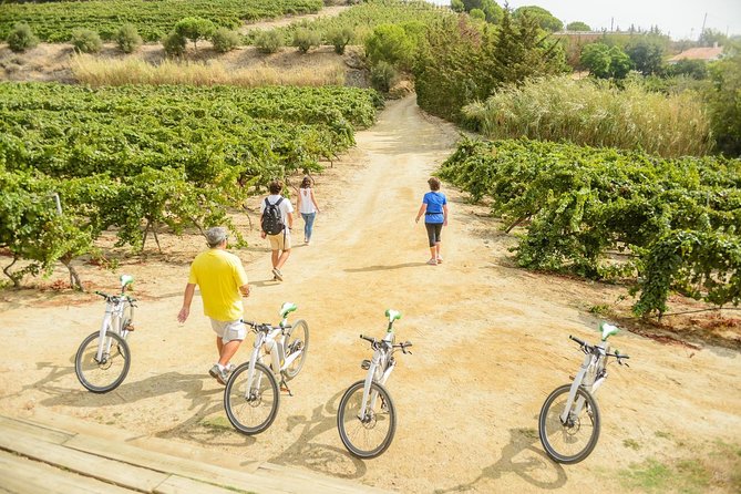 Barcelona eBike Beach Private Tour to Vineyards & Picnic - Arc de Triomf, El Born, and the finish