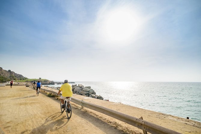 Barcelona eBike Beach Private Tour to Vineyards & Picnic - Price, private format, and overall value