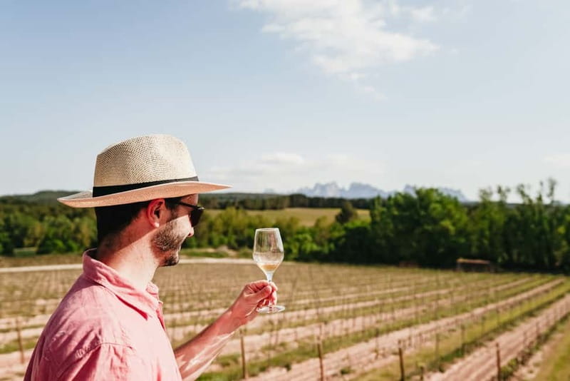 Barcelona: Montserrat, Cogwheel, Black Madonna & Winery Tour - Using free time for views, food, and short walks