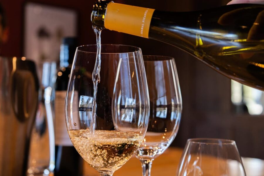 Barcelona: Montserrat, Winery Tour & Lunch with Wine Tasting - Final verdict: a rewarding Catalonia sampler