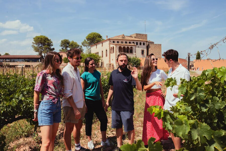Barcelona: Montserrat with Winery, Lunch, and Train Options - What to do during your free time