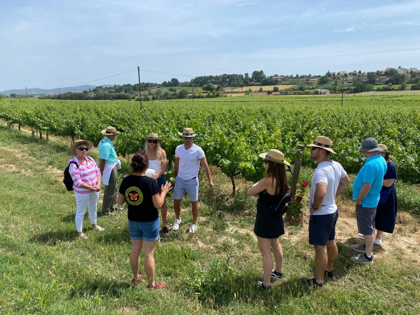 Barcelona: Montserrat with Winery Visit and Farmhouse Lunch - FAQ