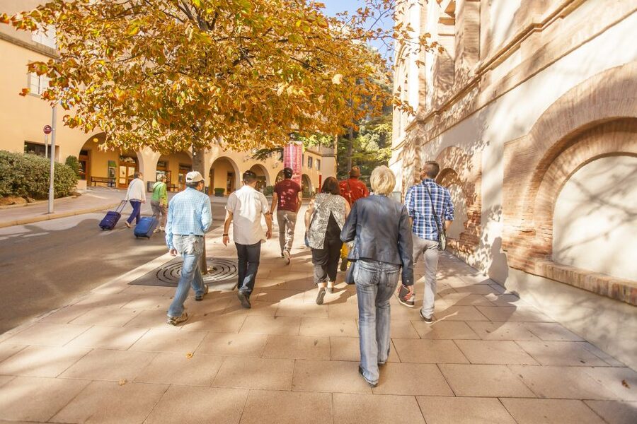 Barcelona: Montserrat with Winery Visit and Farmhouse Lunch - Choosing between the basilica, museum, and mountain paths