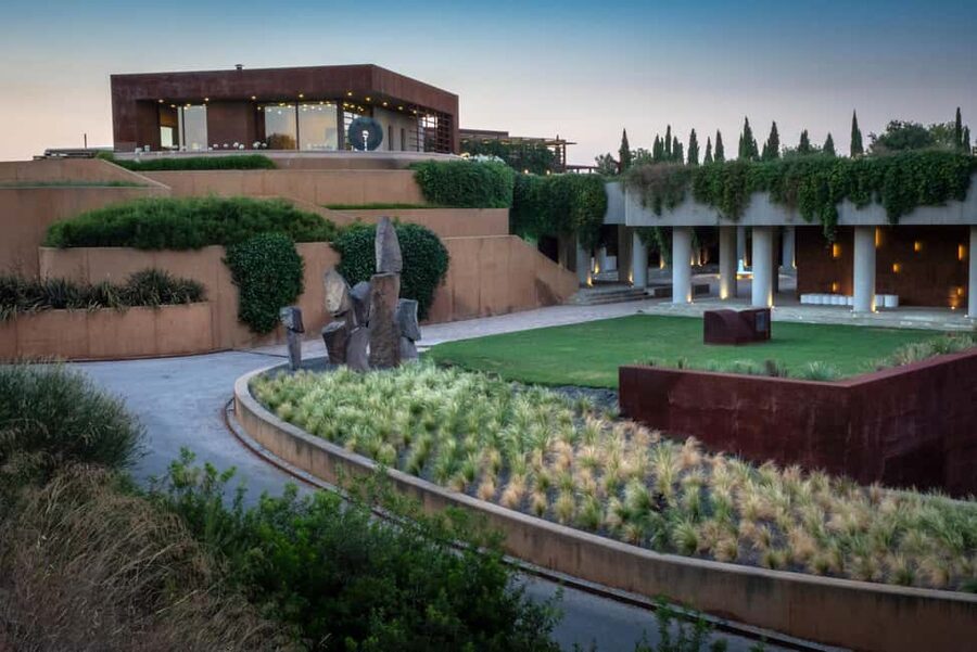 Barcelona-Penedès: Familia Torres wine & tapas winery tour - A two-hour introduction to Familia Torres