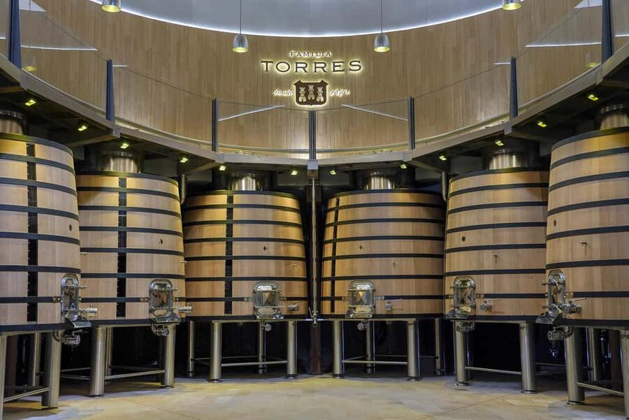 Barcelona-Penedès: Familia Torres wine & tapas winery tour - Inside the sustainable Waltraud winery